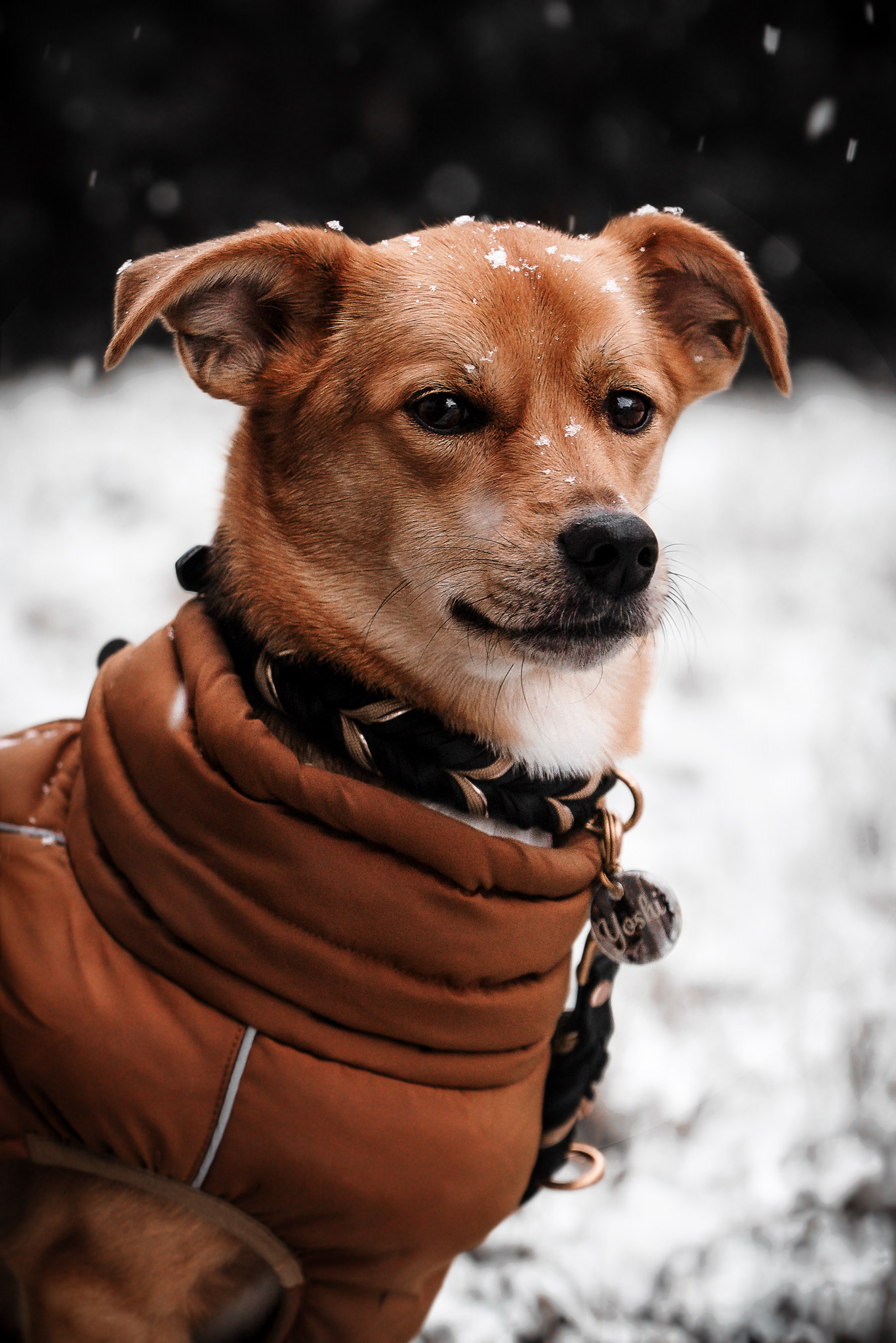 5P6A5080-Bearbeitet-web